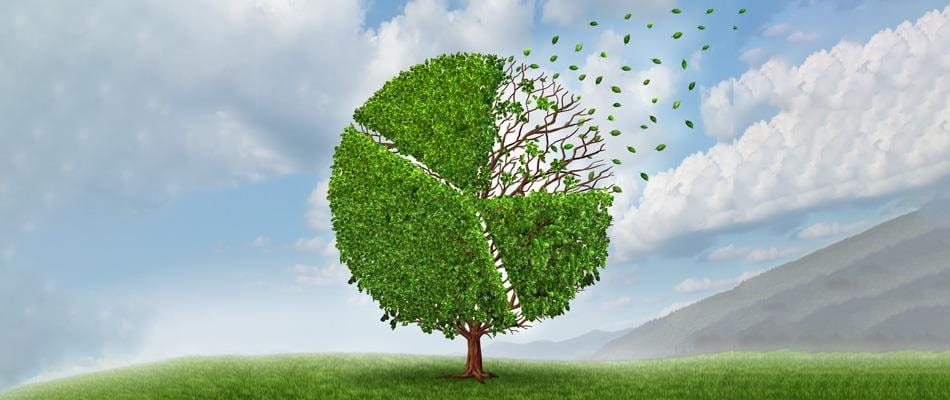 Occupational retirement provision: There is much more potential in our savings Occupational retirement provision: There is much more potential in our savings